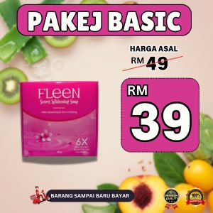 Fleen 1 Kotak